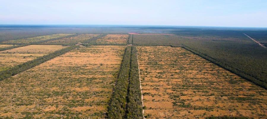 Planned deforestation is a major threat to the AOI